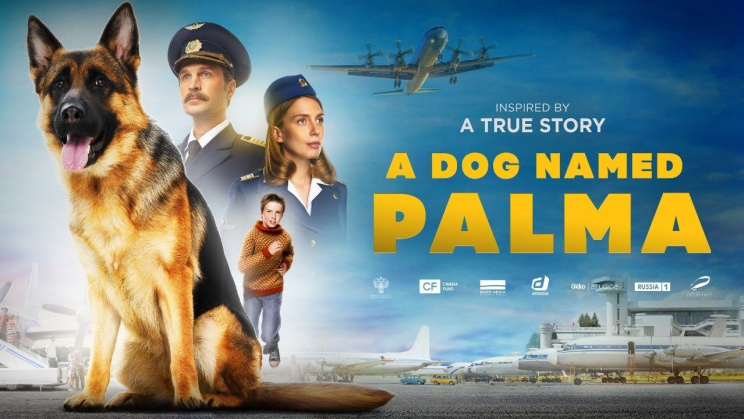 Chú Chó Palma - A Dog named Palma  Vietsub
