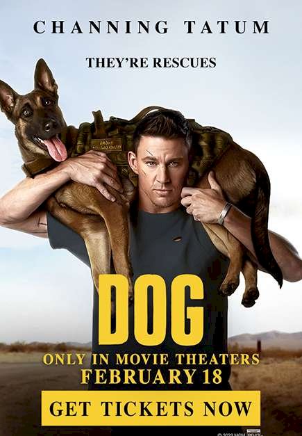 Đồng Nghiệp Không Mời Mà Đến - Dog  Vietsub