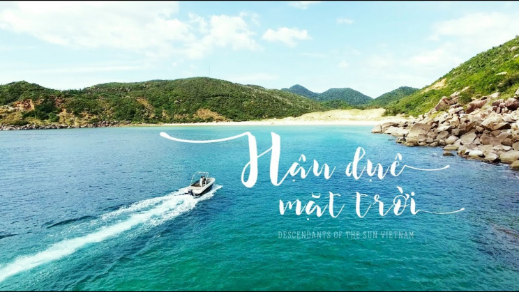 Hậu Duệ Mặt Trời Việt Nam -   Vietsub