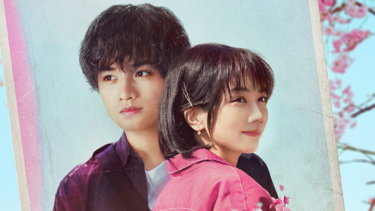 Tình Yêu Như Cánh Hoa Rơi - Love Like The Falling Petals  Vietsub