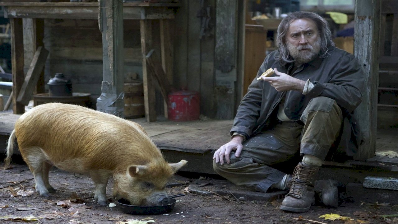 Truy Tìm Lợn Yêu - Pig  Vietsub